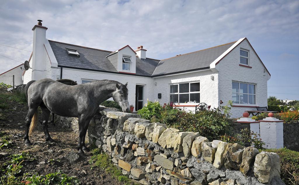 The Olde Castle B&B Renvyle Exterior foto